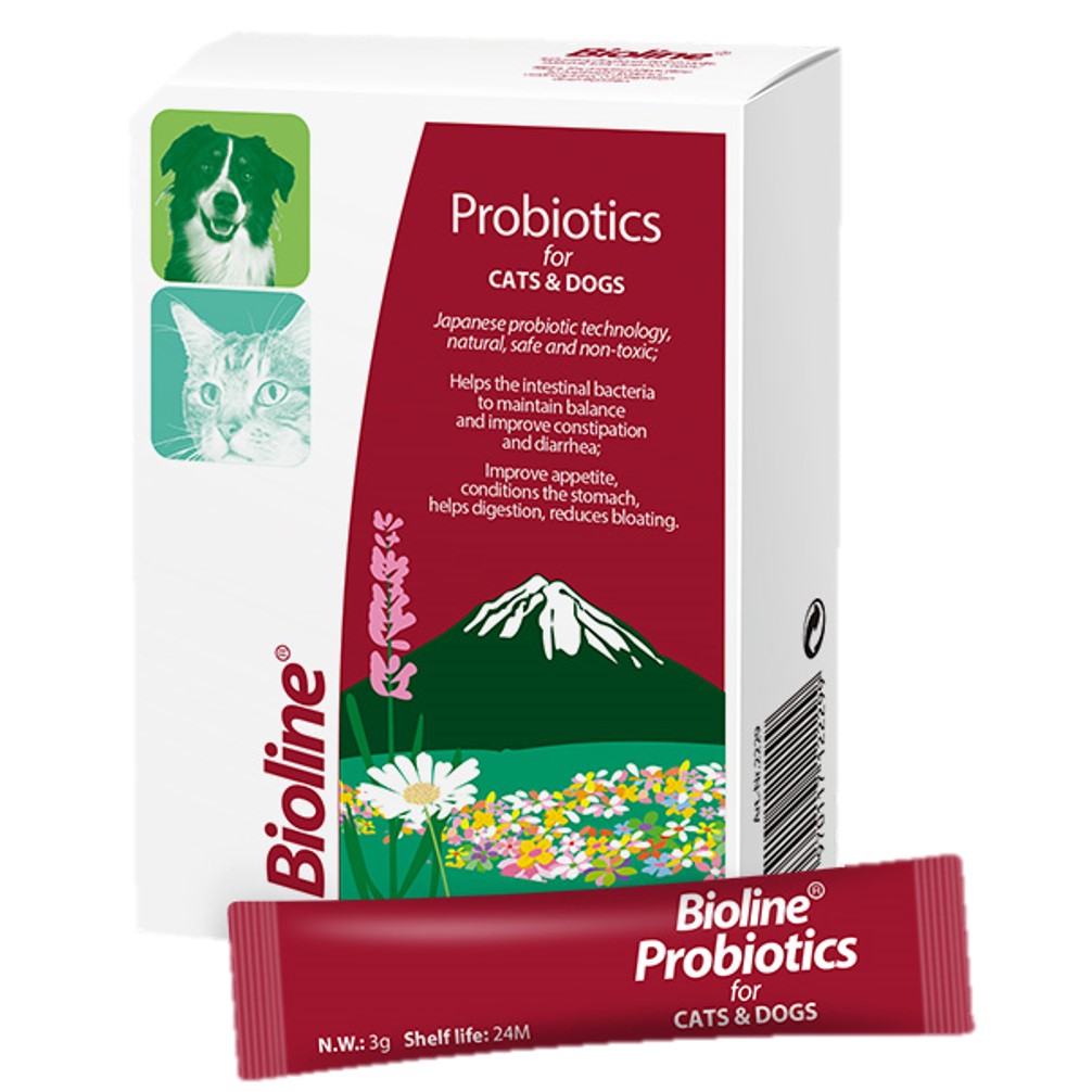 are dogs probiotics different than cats